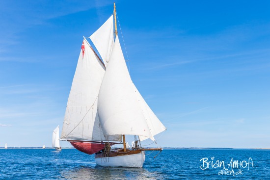 Limfjorden Rundt 2015