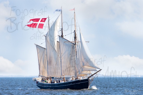 Limfjorden Rundt 2016