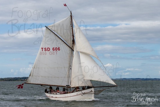 Limfjorden Rundt 2018