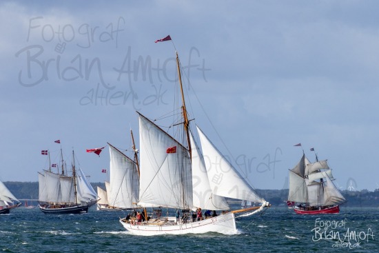 Limfjorden Rundt 2019