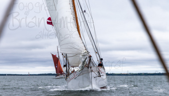 Limfjorden Rundt 2021