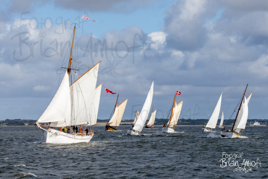 Limfjorden Rundt 2022